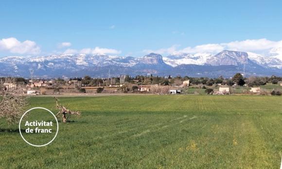 UOM a Mallorca 2025