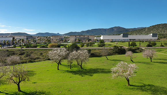foto campus 