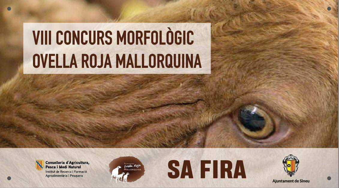 ovella roja i el XXI d'ovella blanca mallorquines