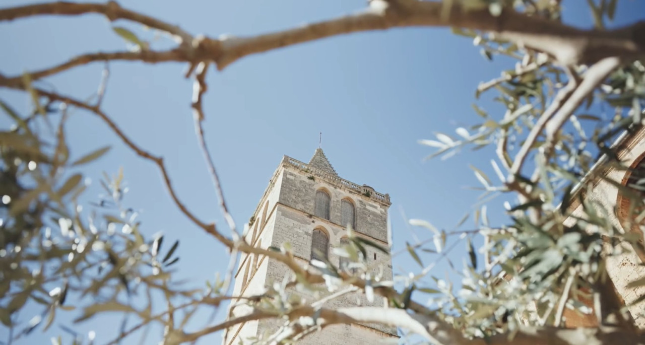 sineu