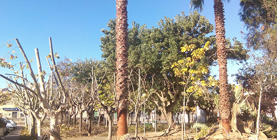 Treballs de jardineria i senyalització viària