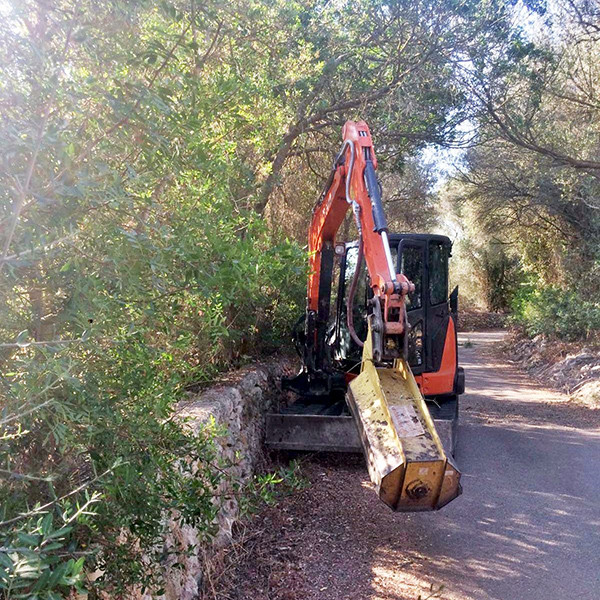 Campanya de desbrossament dels camins rurals i de poda dels arbres de les zones verdes