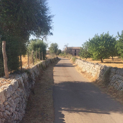 Campanya de desbrossament dels camins rurals i de poda dels arbres de les zones verdes