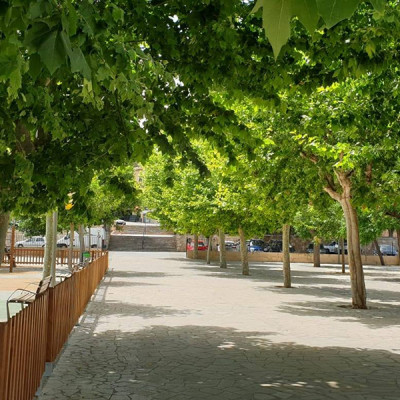Campanya de desbrossament dels camins rurals i de poda dels arbres de les zones verdes