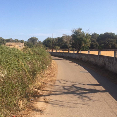 Campanya de desbrossament dels camins rurals i de poda dels arbres de les zones verdes